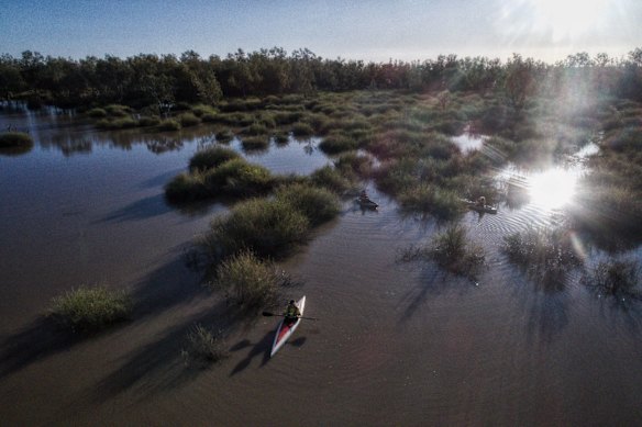 NPWS Ranger Peter Berney negotiates the Lignum in a kayak before entering Narran Lakes.