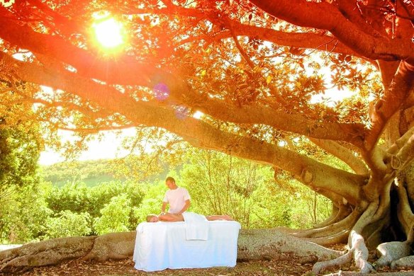 The Golden Door Health Retreat - Elysia in the NSW Hunter Valley. The experience: Brain reboot, check. Body nurture, check. Plus golf? Check. The Golden Door Health Retreat ? Elysia, Thompsons Road, Pokolbin, is a three-hour drive north-west of Sydney. Three-night stays from $1650 a person, twin share. goldendoor.com.au