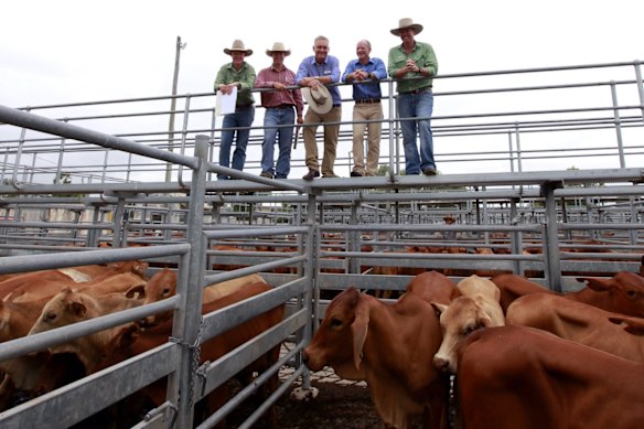 Premier Campbell Newman and LNP colleague Lachlan Millar at the Emerald Sales Yard in Emerald.  