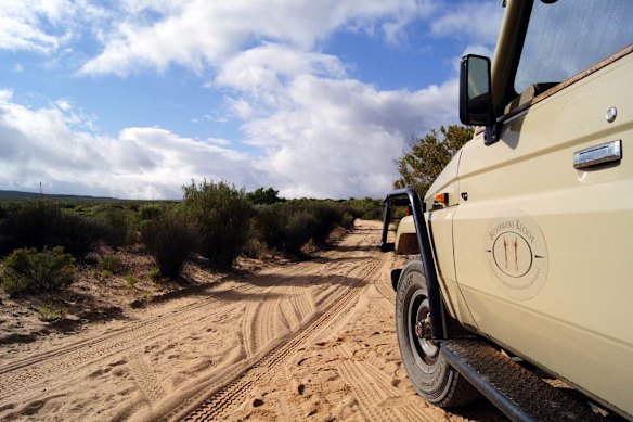 Daily nature drives are included for Bushmans Kloof guests.