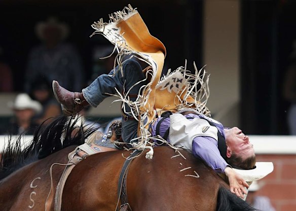 Folks still falling for Calgary Stampede.