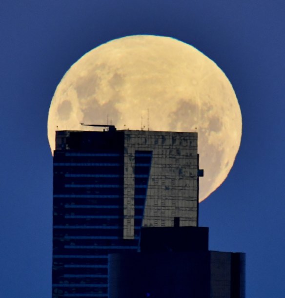 The Moon rises about the Eureka Tower, from Williamstown, VIC.  The Age news Picture by Joe Armao