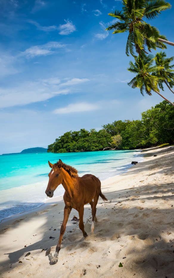 Espiritu Santo, Vanuatu.