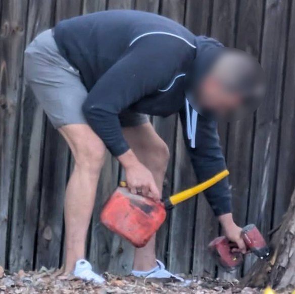 A photo taken by a local showing a man appearing to drill into a tree at Allman Park.
