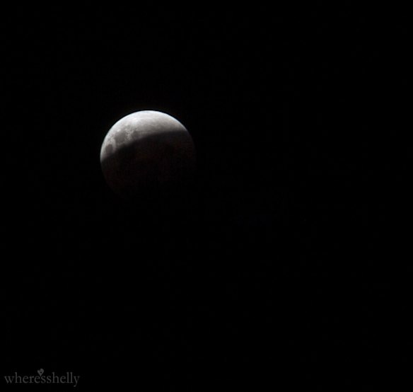 Photographers capture super blue moon over Perth