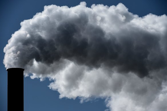 Camellia industrial zone.