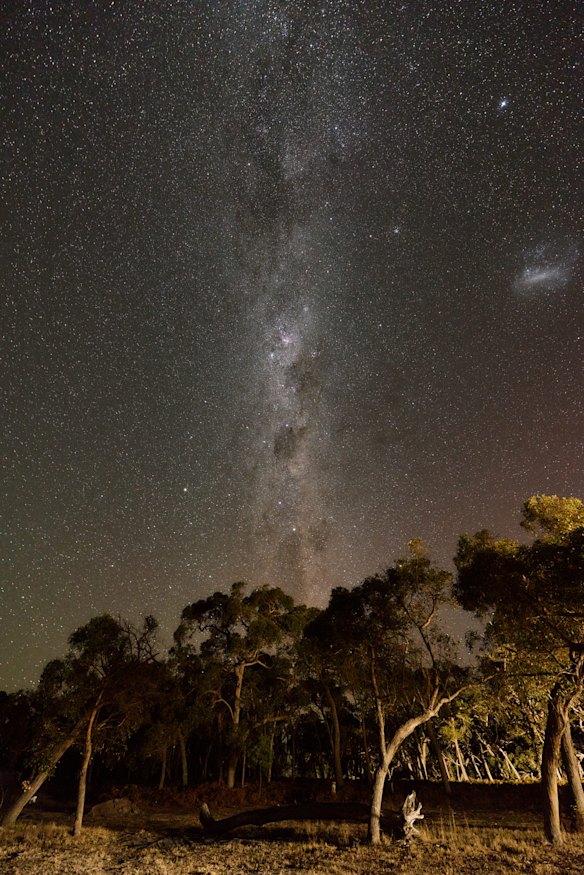 The Coonawarra region offers exceptional stargazing. 