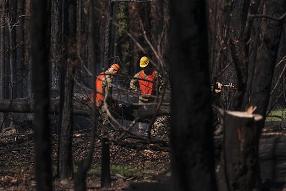 Members of the ADF assist in the clearing of trees that pose a threat in Lake Conjola. 
