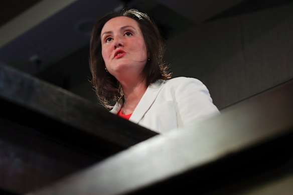 Minister for Jobs, Industrial Relations and Women Kelly O'Dwyer addresses the National Press Club of Australia in Canberra on Tuesday 20 November 2018.  Photo: Alex Ellinghausen
