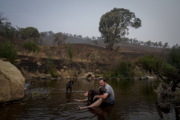 Aaron Hampton from Cudgewa with his dogs Mishka and Dobbie cooling off at the river next to the Nariel Creek folk festival camp site.
