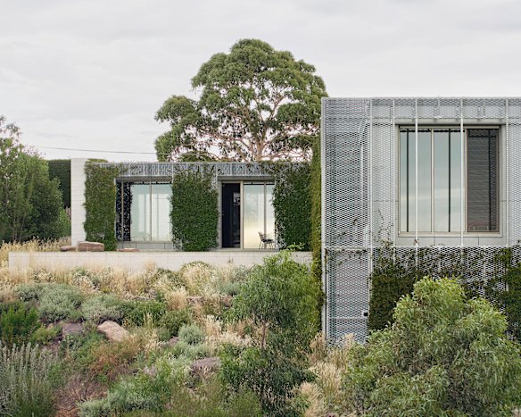 At ‘Hedge House’ trees, shrubs and climbers are strategically placed to create a sense of privacy.