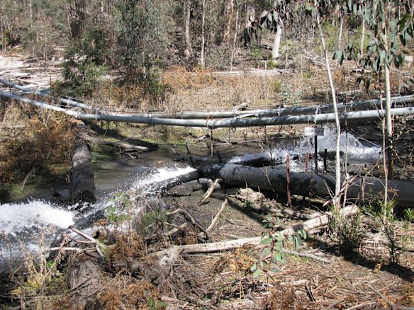 A pipe is seen at the top of the East Wolgan swamp.