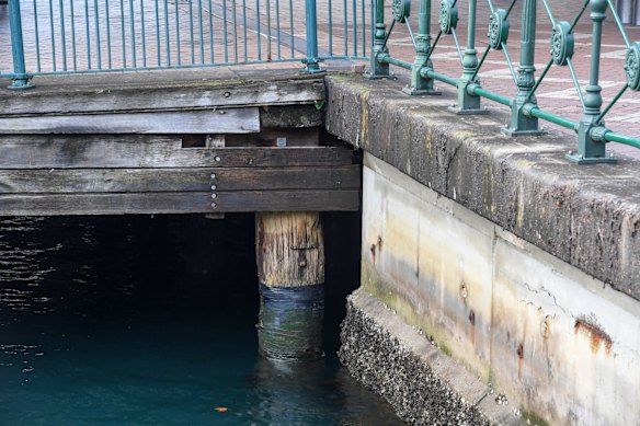 Circular Quay is in need of redevelopment.