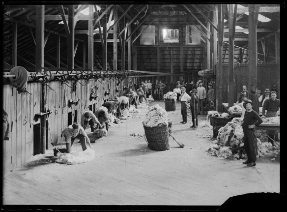 Shearers at work on Boonoke Station c. 1920 by George Bell. Image courtesy of the National Library of Australia.