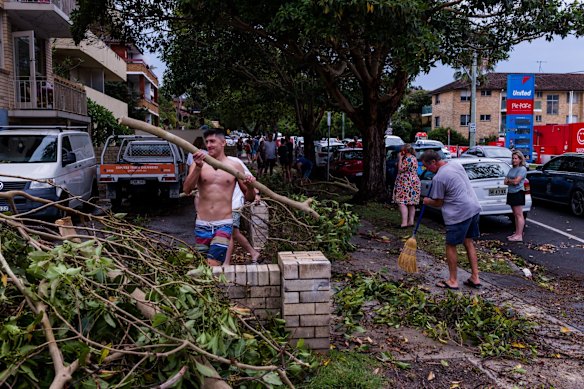 Residents begin cleanup Griffin Rd Dee Why caused during the “microburst” , a severe storm downdraft often with winds exceeding 100kph.  