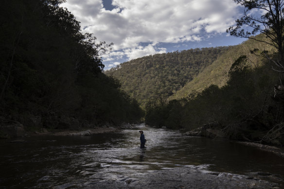 Harry Burkitt from the Colong Foundation for Wilderness wades across part of the lower Kowmung River, an area facing inundation if the Warragamba Dam wall is raised.