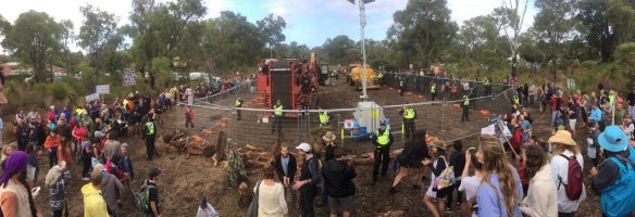 The protesters sought to stop a highway being built through one of Perth's last remaining large urban wetlands. 