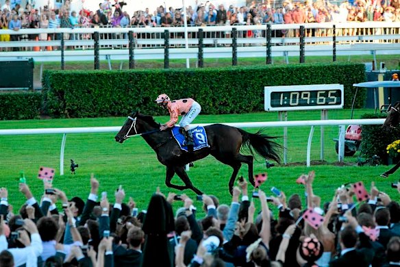 Black Caviar ridden by Luke Nolan makes history by winning the TJ Smith Stakes.