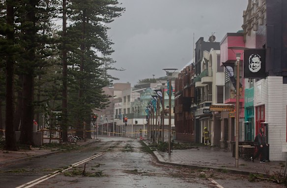 The Norfolk Pines in Manly Beach being closed off along North Steyne by Police and Firefighters due to strong winds and rain in fear they might split and fall down.