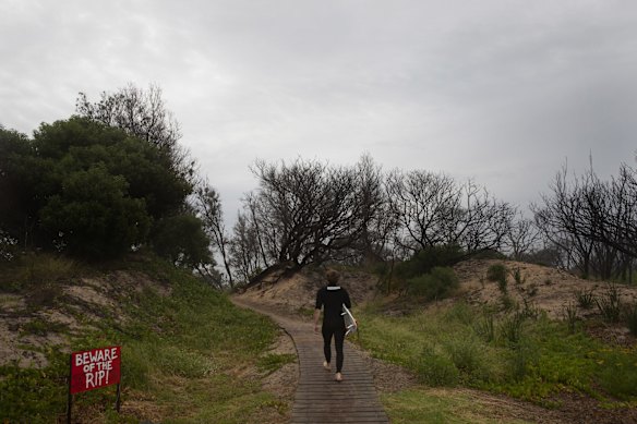 Early morning surfer at Tip Beach.
