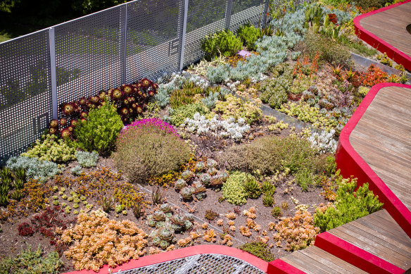 The demonstration green roof at Burnley