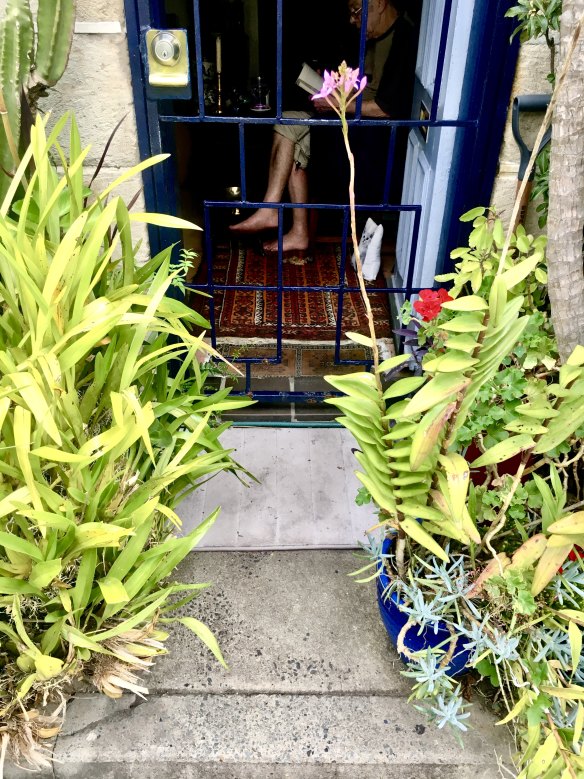 Street, Surry Hills.