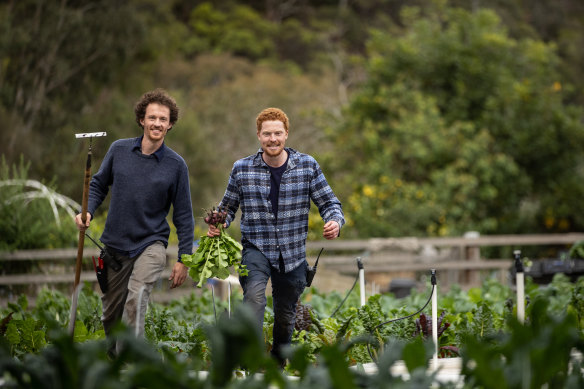 Simeon Ash and Samuel Shacklock in the new market garden.