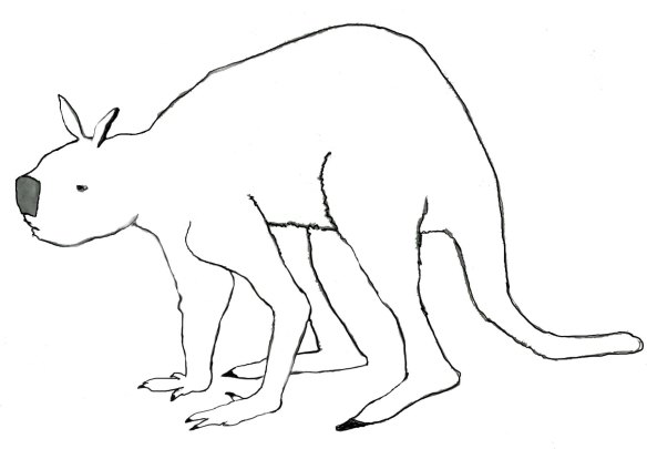 The giant short-faced kangaroo became extinct about 45,000 years ago.