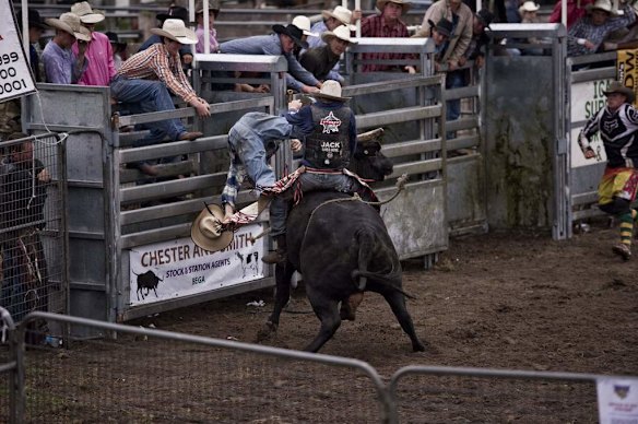 Moruya Rodeo