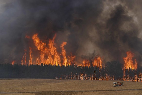 A forrest fire between Tooma and Tumbarumba, NSW. 10 January 2020. 