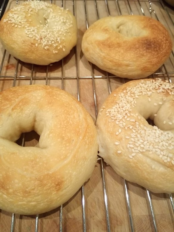 Adam Fischmann's bagels.