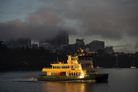 A ferry travels to Balmain as seen from Birchgrove in 2020.