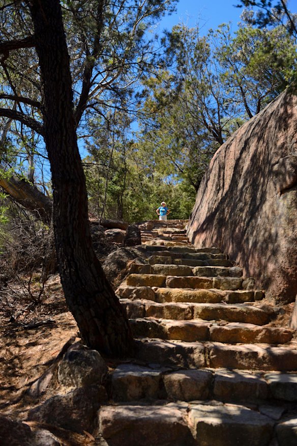 The climb to Wineglass Bay Lookout on Mount Amos.