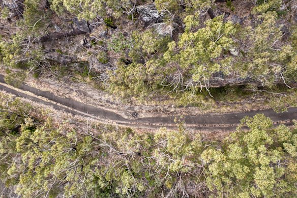 Sections of the old abandoned Princes Highway near Waterfall.