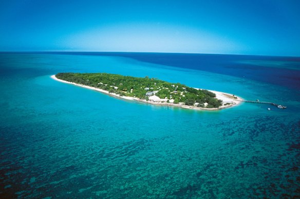 Nature gets priority on Heron Island. 