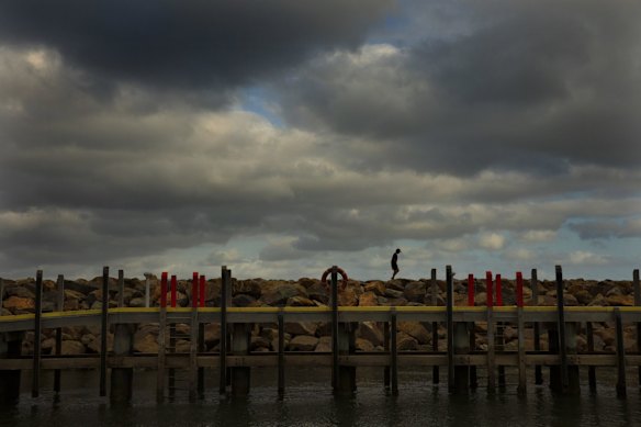 A tourist walks along the Bastion Point break wall. 