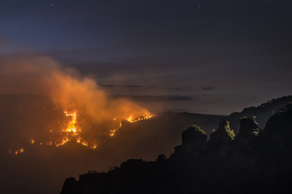 Last summer's bushfires burnt through almost three-quarters of the greater Blue Mountains area.