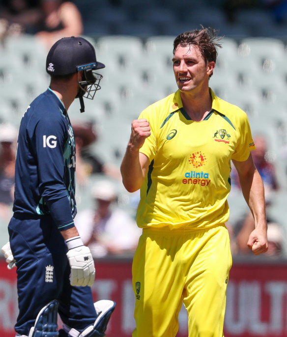 Pat Cummins celebrates a wicket.