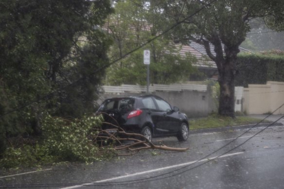 The RFS attends to downed powerlines in Roseville.ll