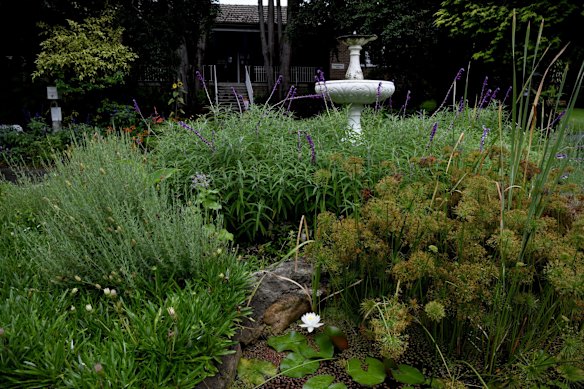 Photographs show the alcohol and drug rehabilitation facilities of WHO ( We who Help Ourselves ) within the confines of Callan Park in Roselle today. Executive Director, Garth Popple ( pictured in blue shirt on red bridge ) walked the Herald through the extensive gardens pointing out gardens and accomodations for differing stages of addiction and areas patients can utilise for their therapy and healing including serene bamboo forests and specific areas for indigenous smoking ceremonies and healing. Patients can be seen and unidentifiable sweeping paths and taking leaves. Other images show convict era, sandstone pavements, bridges and watercourses. Photographs taken Wednesday 5th January 2022. Photographs by Dean Sewell.