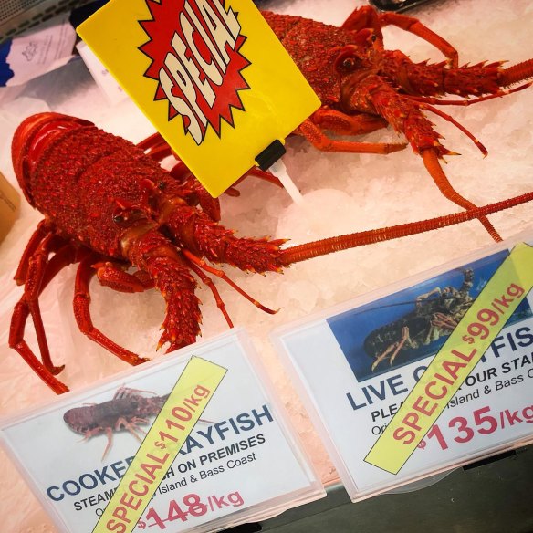 Crayfish prices fall as fishers get caught with their catches.