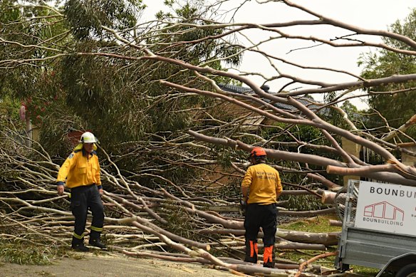 Damage in Davidson, Sydney.