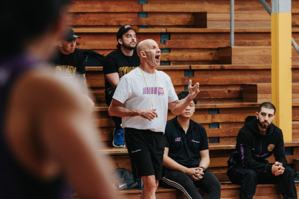 Back at work: Sydney Kings coach Brian Goorjian is ready for the new season.