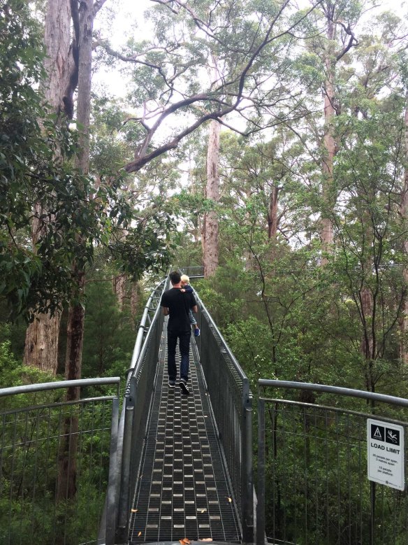 The only photo I could muster on the tree top walk due to intense vertigo.
