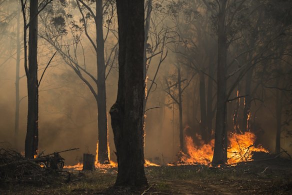 An out of control bushfire impacts properties along Glenthorne Rd, South Taree.