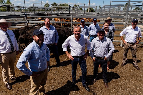 Anthony Albanese with shadow treasurer Jim Chalmers, spokeswoman for agriculture Julie Collins, Labor candidate for Capricornia Russell Robertson and Labor candidate for Flynn Matt Burnett at Gracemere Saleyards in Rockhampton, pledging funding for 2024 Beef Week.
