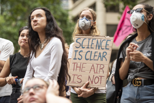 Many protestors wore masks as they listened to calls for action.