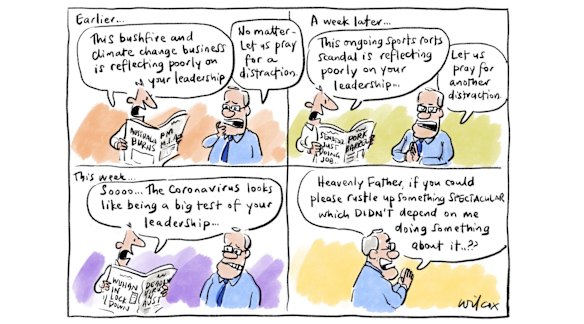 Cathy Wilcox' best cartoons of 2020