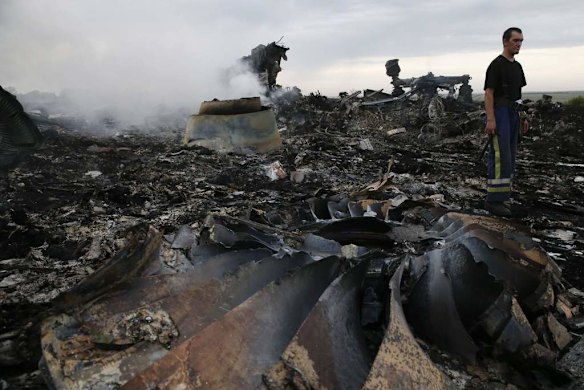 An Emergencies Ministry member walks at the site of a Malaysia Airlines Boeing 777 plane crash near the settlement of Grabovo in the Donetsk region.