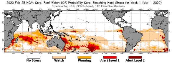 The next few weeks will be critical if the current moderate bleaching is not about to become severe.